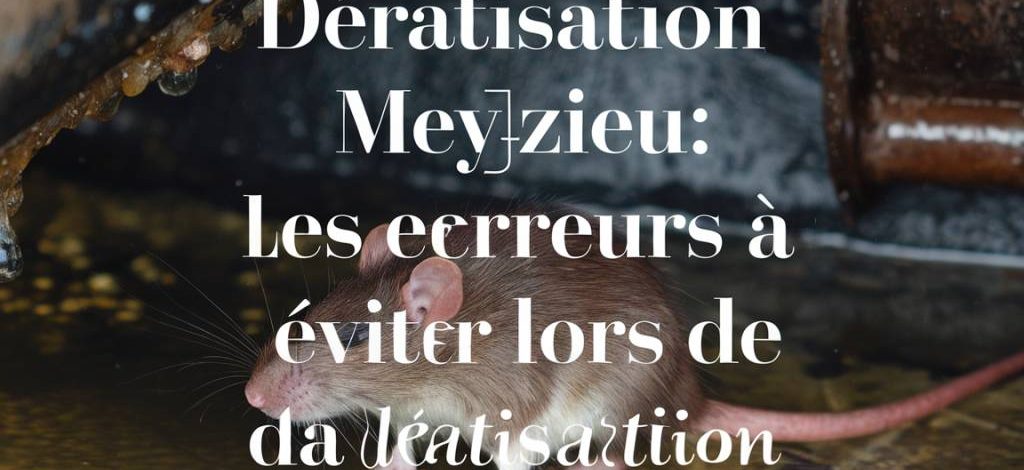 dératisation meyzieu : les erreurs à éviter lors de la dératisation